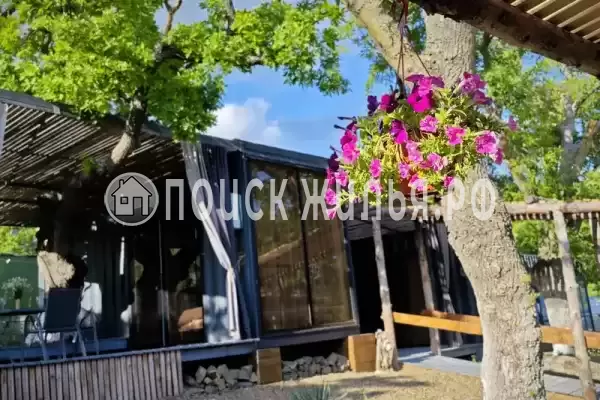 «Лес» «Лес»