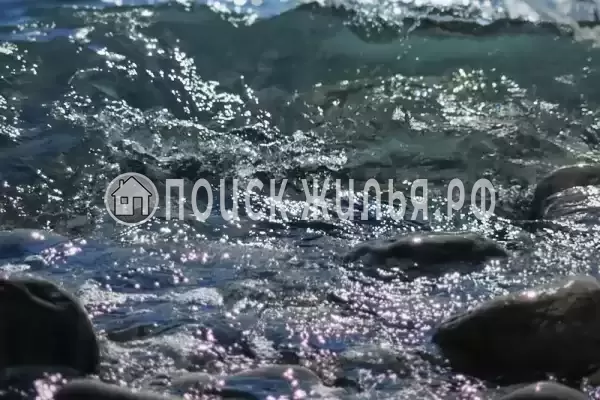 «Лес» «Лес»