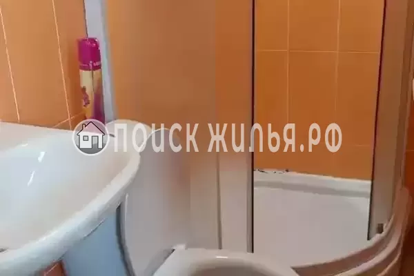 «Пальма финик»