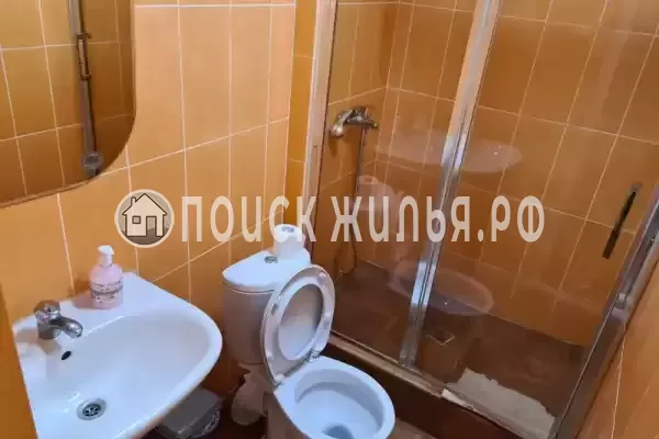 «Пальма финик»