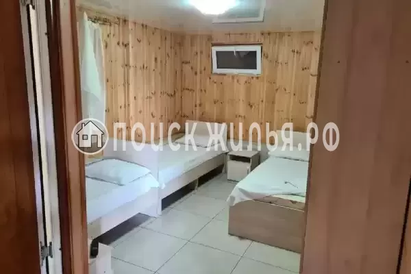 «Пальма финик»