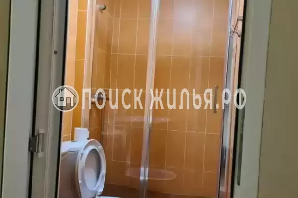 «Пальма финик»