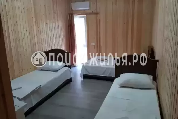 «Пальма финик»