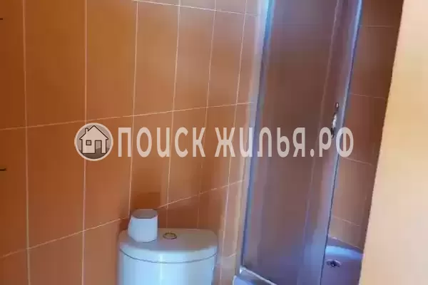 «Пальма финик»