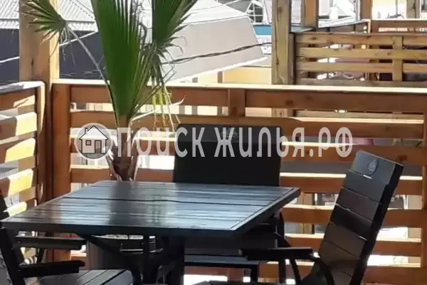 «Пальма финик»