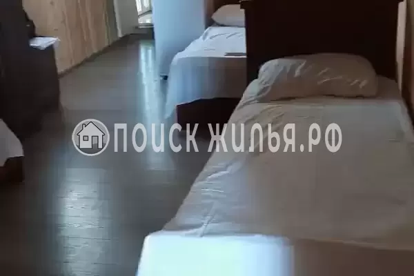 «Пальма финик»