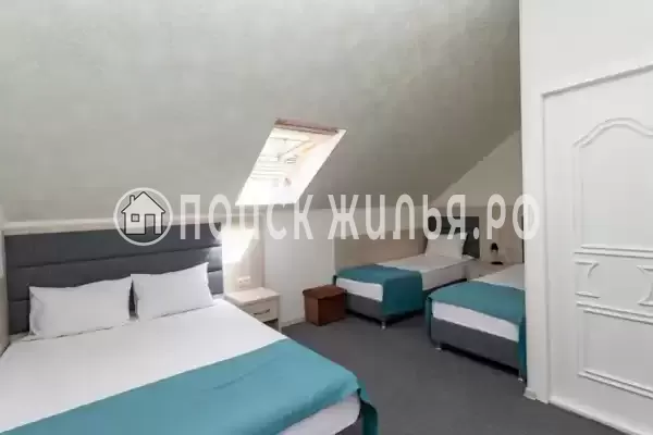 «СанМари» «СанМари»