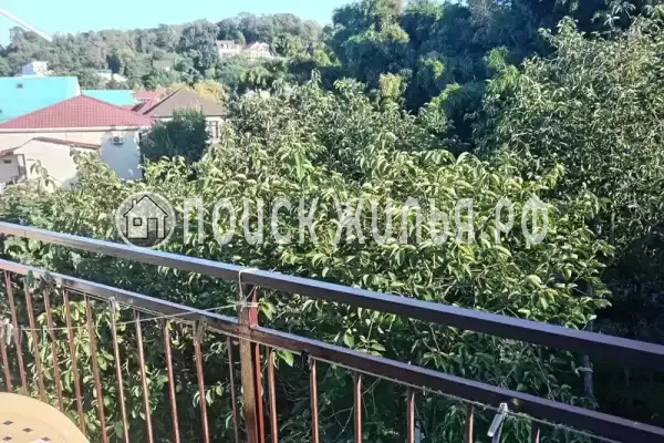 «Оазис на молодежной» «Оазис на молодежной»