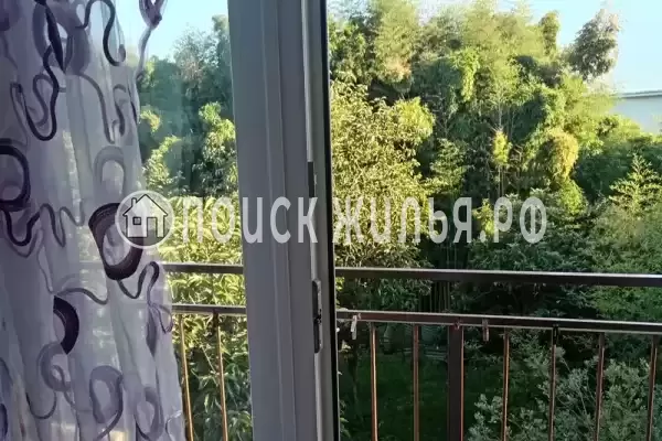 «Оазис на молодежной» «Оазис на молодежной»