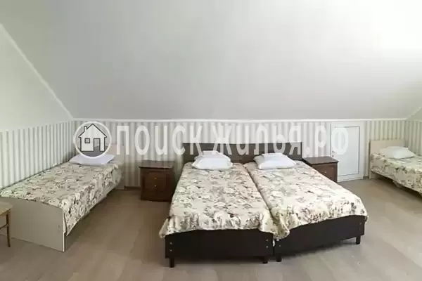 «Золотой рапан»