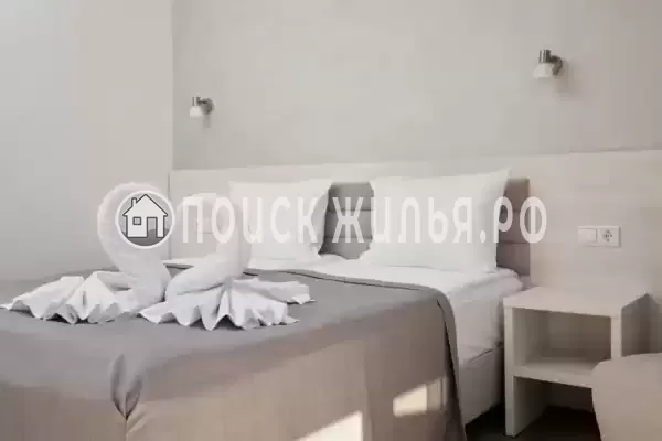 «Черный кот»