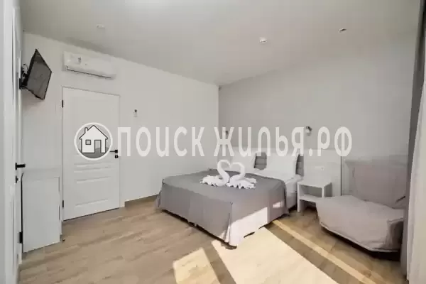 «Черный кот»