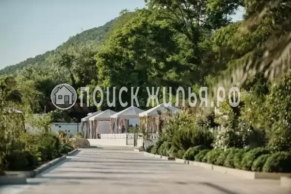 «Черный кот»