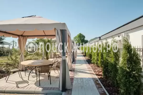 «Черный кот»