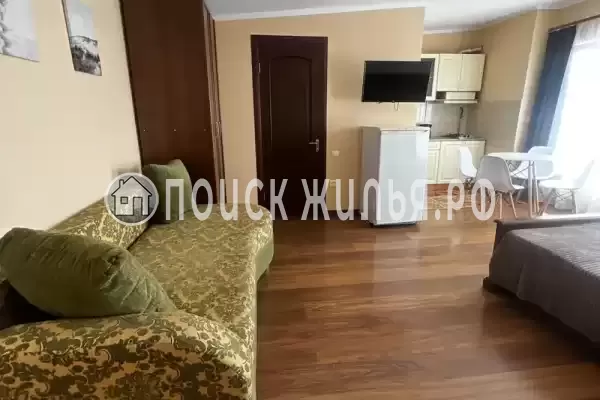 «Большая медведица»