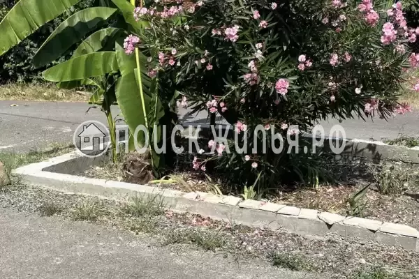 «Ирина» «Ирина»