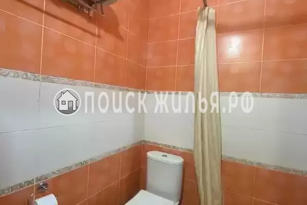 «Золотой Пегас» «Золотой Пегас»