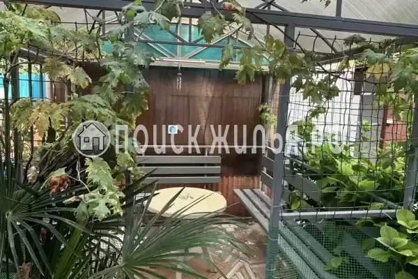 «Лазуриус»