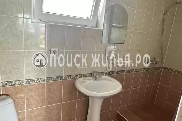 «Антонина» «Антонина»