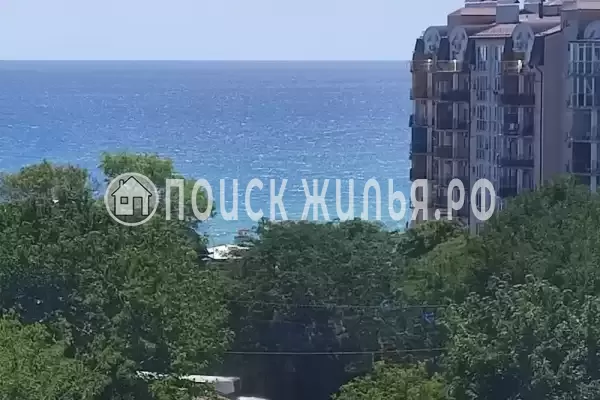 «Антонина» «Антонина»