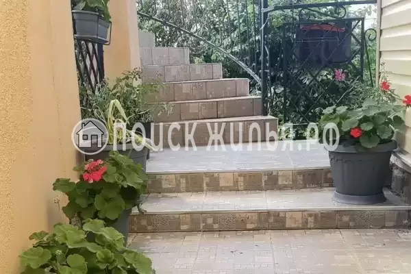 «Антонина» «Антонина»