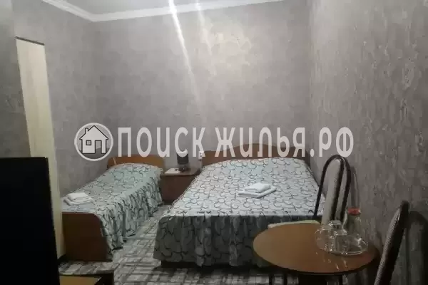 «София» «София»