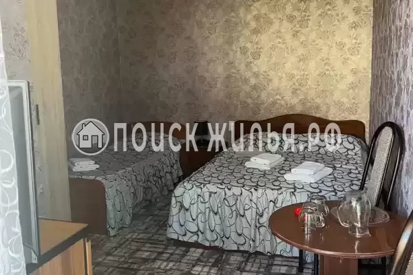 «София» «София»