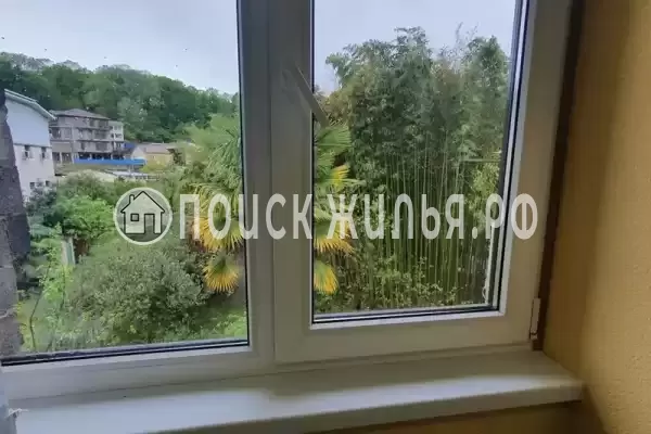 «Бамбуковая роща» «Бамбуковая роща»