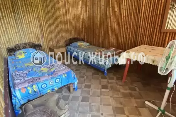 «Бамбуковая роща» «Бамбуковая роща»