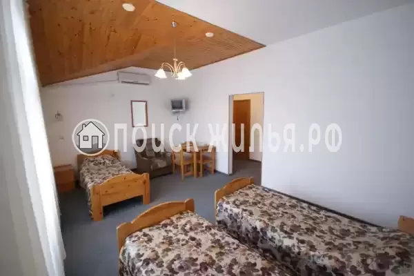 «Альбатрос» «Альбатрос»