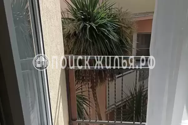 «Маргарита»