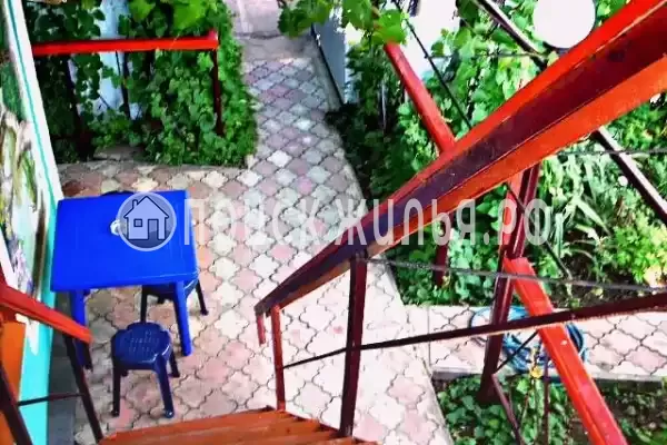 «Galina» «Galina»