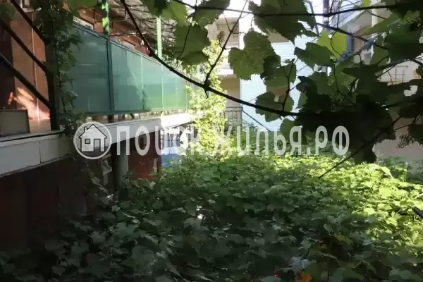 «Южный двор» «Южный двор»