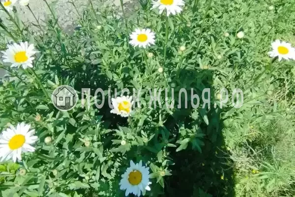 Гостевой дом «Руслан»