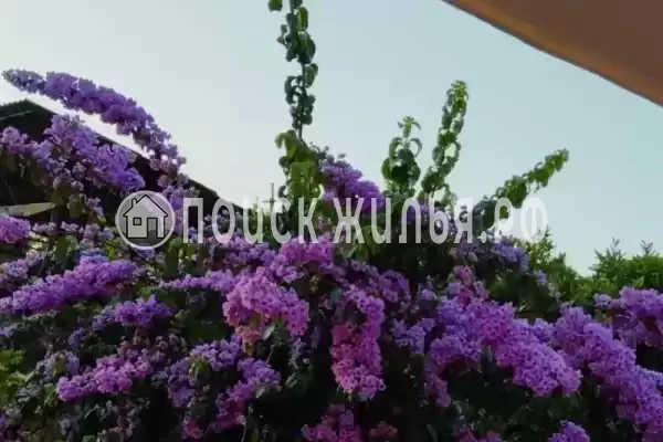 Гостевой дом «Руслан»