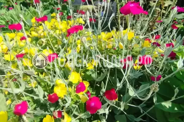 Гостевой дом «Руслан»