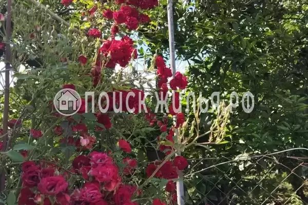 Гостевой дом «Руслан»