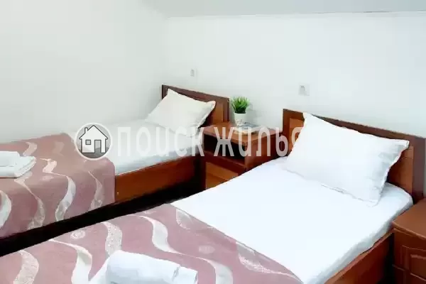 «Longan» «Longan»