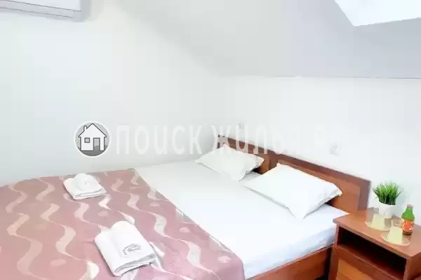 «Longan» «Longan»