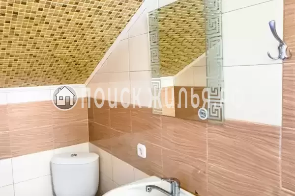 «Longan» «Longan»