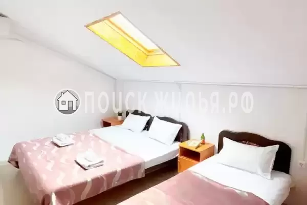 «Longan» «Longan»