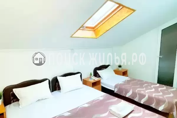 «Longan» «Longan»