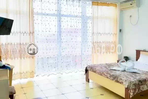 «Longan» «Longan»