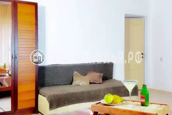 «Longan» «Longan»