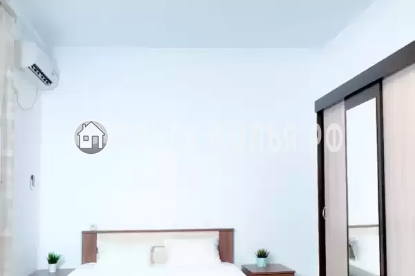 «Longan» «Longan»