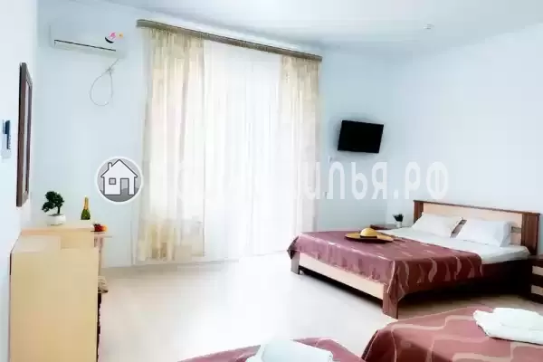 «Longan» «Longan»