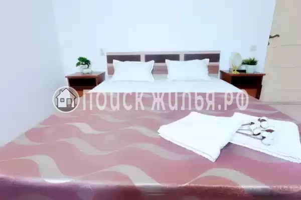 «Longan» «Longan»