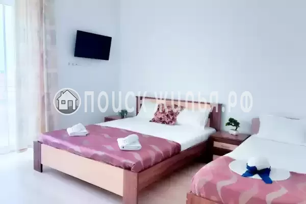 «Longan» «Longan»