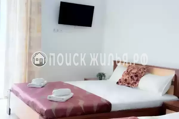 «Longan» «Longan»