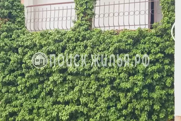 «Первая линия»